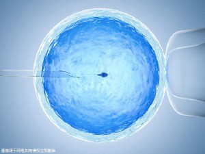 单身生子助孕机构